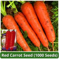 ราคา เมล็ดพันธุ์ แครอท สีแดง บรรจุ 1000 เมล็ด Red Carrot Seeds for Planting เมล็ดแครอท ผักออร์แกนิก เมล็ดพันธุ์ผัก ผักสวนครัว ต้นไม้มงคล ต้นผลไม้ บอนไซ พันธุ์ผัก เมล็ดผัก เมล็ดพันธุ์พืช ผลผลิตสูง มีคุณค่าท