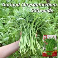 ราคา เมล็ดพันธุ์ ไวล์ดร็อกเก็ต บรรจุ 500 เมล็ด Rocket Seeds Garland Chrysanthemum Vegetable Seeds for Planting ผักสลัดร็อคเกต เมล็ดพันธุ์แท้ OP เมล็ดพันธุ์ผัก เมล็ดผักสวนครัว ผักสวนครัว ผักออร์แกนิก พันธุ์