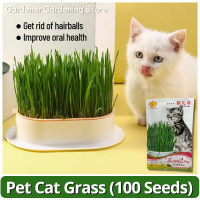 ราคา เมล็ดหญ้าแมว เมล็ดข้าวสาลี เมล็ดพันธุ์ 100 เมล็ด Natural Organic Cat Grass Seeds พืชไฮโดรโปนิ ออแกนิกส์ หญ้าเเมว สำหรับสัตว์เลี้ยง ข้าวสาลีแมว หญ้าแมว ต้นอ่อนข้าวสาลี สำหรับปลูกต้นอ่อนข้าวสาลี เมล็ดพั