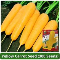 ราคา เมล็ดพันธุ์ แครอทสีเหลือง บรรจุ 300 เมล็ด Yellow Carrot Seeds Vegetable Seeds for Planting ผักออร์แกนิก เมล็ดแครอท เมล็ดพันธุ์แท้ OP เมล็ดพันธุ์ผัก เมล็ดผักสวนครัว บอนไซ ผักสวนครัว พันธุ์ผัก เมล็ดผัก 