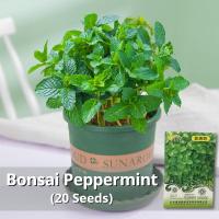 ราคา เมล็ดพันธุ์ สะระแหน่ เมล็ดสะระแหน่ บรรจุ 20 เมล็ด Bonsai Peppermint Seeds Fresh Edible Mint Plant Herbs Seeds เมล็ดดอกไม้ พืชไล่ยุง ผักสวนครัว เมล็ดพันธุ์ผัก เมล็ดบอนสี บอนสีหายาก ต้นไม้มงคล ต้นไม้ฟอก