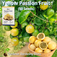 ราคา เมล็ดพันธุ์ เสาวรส บอนสี สีแดง สีเหลือง Red Yellow Passion Fruit Seeds เมล็ด ผลไม้เสาวรส เสาวรสหวาน พันธุ์ผลไม้ ต้นผลไม้ เมล็ดพันธุ์ผัก เมล็ดผลไม้ เมล็ดพันธุ์ผลไม้ บอนไซ พันธุ์ไม้ผล ผักสวนครัว ปลูกง่า