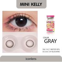 ราคา คอนแทคเลนส์ คิตตี้ คาวาอิ Mini Kelly Gray (16813575275)
