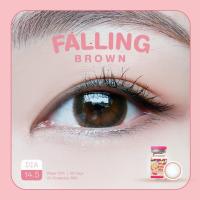 ราคา คอนแทคเลนส์ คิตตี คาวาอิ Falling (21504699945)