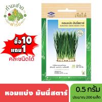 ราคา เจียไต๋ ซื้อ10แถม1 เมล็ดพันธุ์ หอมแบ่ง มันนี่สตาร์ ขนาด0 5กรัม ประมาณ240เมล็ด Bunching Onion ต้นหอมแบ่ง ต้นหอม เมล็ดพันธุ์พืช เมล็ดผัก ปลูกผักสวนครัว (21628363674)