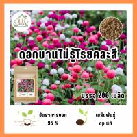 ราคา เมล็ดพันธุ์ ดอกบานไม่รู้โรยคละสี บรรจุ 200 เมล็ด (21035476465)