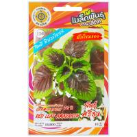 ราคา เมล็ดพันธุ์ ผักโขมแดง พันธุ์ศรีสุข ตราสี่ทิศ (20808681785)