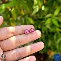 ราคา 2AC 68RB ต่างหูเงินแท้925 พลอยแท้ทับทิมแท้ ไพลินแท้ เจียรไน 6 8มิล ต่างหูก้านเสียบ สีสวย น้ำใส ไฟดี (21416529577)