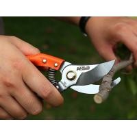 ราคา กรรไกรตัดกิ่งไม้ กรรไกรตัดกิ่ง กรรไกรแต่งกิ่ง กรรไกรบอนไซ กรรไกรตัดต้นไม้ กรรไกรกระตุกกิ่งไม้ กรรไกรตอนกิ่ง กรรไกรทำสวน (15554769836)