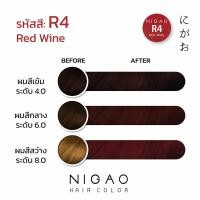 ราคา NIGAO Fashion Hair Color นิกาโอะ แฮร์คัลเลอร์ ครีมย้อมผม โทนแฟชั่น แถมฟรี Developer 1ขวด (13959520212)