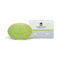 ราคา สบู่ Harrogate soap sulphur soap 50G สบู่ฮาโรเกต ซัลเฟอร์ 50 กรัม (20714044182)