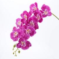 ราคา ช่อดอกไม้กิ่งยาวสำหรับการตกแต่งบ้านดอกกล้วยไม้ปลอมดอกไม้ปลอมของตกแต่งงานแต่งงานพวงหรีดบอนไซแบบทำมือ (21052748111)