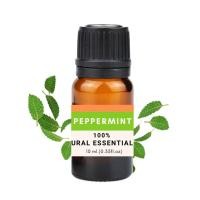 ราคา Peppermint Essential oil 100 น้ำมันหอมระเหยเปเปอร์มิ้นท์ ขนาด10ml (21366539121)