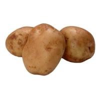 ราคา สดจากฟาร์ม มันฝรั่ง A 1 สด สะอาด รับประกันคุณภาพ ราคา ถูก ส่ง (21006545345)