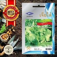 ราคา เมล็ดพันธุ์ ตั้งโอ๋ 3 กรัม 900 เมล็ด เมล็ด ต้นไม้ เมล็ดผัก เมล็ดดอกไม้ ดอกไม้ ผัก ผักสวนครัว สลัด เมล็ดพันธุ์พืช (10038715634)