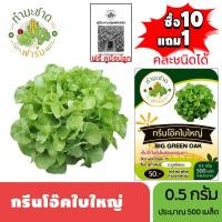ราคา ทำมะชาดฟาร์ม ซื้อ10แถม1 เมล็ดพันธุ์ กรีนโอ๊คใบใหญ่ ขนาด0 5กรัม ประมาณ500เมล็ด BIG GREEN OAK บิ๊กกรีนโอ๊ค ผักสลัด เมล็ดพันธุ์พืช เมล็ดผัก ปลูกผักสวนครัว (4919192478)