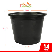 ราคา กระถางต้นไม้ ขนาด 10 นิ้ว สีดำ (21394617351)