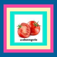 ราคา มะเขือเทศลูกท้อ 10 บาท (11692205158)