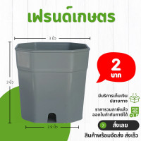 ราคา กระถางแคคตัส กระถาง 8 เหลี่ยม 2 3 4 นิ้ว สีดำ สีขาว สีเทา สีอิฐ (21400135721)