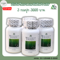 ราคา 3 กระปุก Wheatgrass Alfalfa Plus ผลิตภัณฑ์อาหารเสริมแอมสตรอง วีทกราส อัลฟัลฟ่า พลัส ผักเม็ดแท้ สูตรดั้งเดิม ผักเม็ด superfood โปรตีนสูง (15110163858)