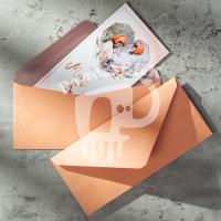 ราคา ซองเบอร์ ยุโรป 4x9 นิ้ว สีพาสเทล ซองการ์ดแต่งงาน 50ชอง 1แพค Envelope (15161560538)