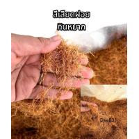 ราคา สีเสียดฝอย ขนาด 500 กรัม สีเสียด สีเสียดกินกับหมาก Acacia catechu eaten with betel leaves พร้อมส่ง (21842842656)