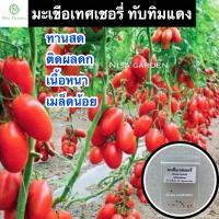 ราคา 10 แถม 2 เมล็ดมะเขือเทศเชอร์รี่ ทับทิมแดง ทานสด ติดผลดก ผลผลิตสูง ผลยาวรีสีแดงสด เนื้อหนา เมล็ดน้อย รสชาติดี ทนโรค (21443706334)