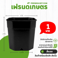 ราคา กระถาง 8 เหลี่ยม ขนาด 2 นิ้ว สีดำ สีขาว สีเทา สีอิฐ สีใส (21400116504)