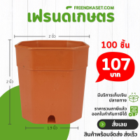 ราคา กระถาง 8 เหลี่ยม ขนาด 2 นิ้ว สีดำ สีขาว สีเทา สีอิฐ สีใส (21400116505)
