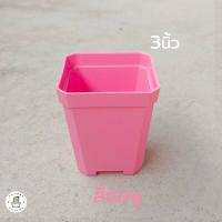 ราคา กระถางพาสเทล กระถางต้นไม้ กระถางแคคตัส ทรงสี่เหลี่ยม สีขาว ใส ฟ้า ชมพู เหลือง 3นิ้ว 4นิ้ว (17433209797)
