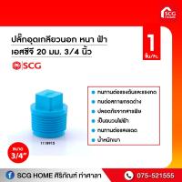 ราคา ปลั๊กอุดเกลียวนอก หนา ฟ้า เอสซีจี 20 มม 3 4 นิ้ว (9418798694)