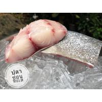 ราคา ส่งฟรี เนื้อปลาช่อนทะเล ปลาเรือเล็ก ทะเลอันดามัน แพคสูญญากาศอย่างดี 1 กิโลกรัม Seafood From Home (16571981369)