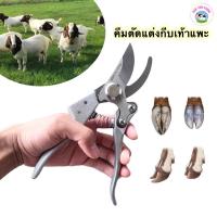 ราคา คีมตัดแต่งกีบเท้าแพะ แกะ made in japan ใช้สำหรับตัดแต่งกีบเท้าแพะ ป้องกันแพะเจ็บเท้า (9410498231)