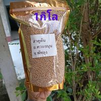 ราคา สาคูแท้พัทลุง เม็ดสาคูต้นแท้100 สาคูต้น ออแกนิค ของดีจังหวัดพัทลุง 500กรัม (17225284230)