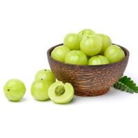 ราคา มะขามป้อมนอกฤดู น้ํามะขามป้อม สรรพคุณ มะขามป้อม ลักษณะ มะขามป้อม กินวันละกี่ลูก (21706508604)