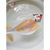 ราคา อาหารปลา ปลา ปลาแรดเผือก ตาดำ ไซร้2 5นิ้ว มีประกันสินค้าคะ (21410908720)