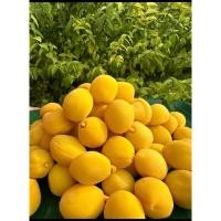 ราคา ลูกท้อแดง ลูกพีชแช่อิ่ม ถุงใหญ่ ขนาด 1 กิโลกรัม อร่อย ใหม่ (21877470542)