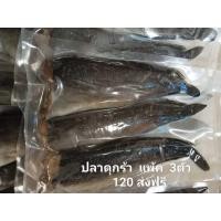 ราคา ปลาดุกร้า (20632753531)