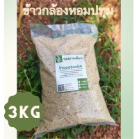 ราคา ข้าวหอมปทุม ขนาด 3 กิโล ชนิดกล้อง ขาว ข้าวออแกนิก100 ข้าวใหม่สีข้าวได้ทุกวัน จากเกษตรกรบ้านหน้าวัง พัทลุง (18891759131)