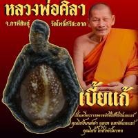 ราคา เบี้ยแก้ หลวงพ่อศิลา วัดโพธิ์ศรีสะอาด จังหวัดกาฬสินธุ์ ป้องกันอัตวิบากกรรม แก้ภาพหลอน คุณไสย คุณผี คุณคนทั้งปวงอุบาทวเหตุ อุบาทวภัย ทั้งปวง สินค้าขายดี (21836598007)