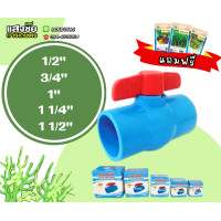 ราคา บอลวาล์วพีวีซี ขนาด 1 2 1 1 2 นิ้ว วาล์วพีวีซี PVC พีวีซี อุปกรณ์ประปา ส่งเร็ว แถมฟรี เมล็ดพันธุ์ผักเจียไต๋ (20501634281)