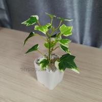 ราคา ต้นไม้มงคล ต้นไม้ปลอม 39 บาท 3 ต้น 100 บาท เสริมโต๊ะทำงาน (11116335264)