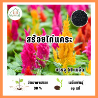 ราคา เมล็ดพันธุ์ ดอกสร้อยไก่แคระ บรรจุ 50 เมล็ด (21581037378)
