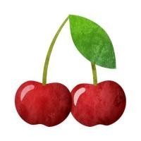 ราคา ตัวรีดติดเสื้อลายเชอรีเชอรี่ สวยๆ 4289 ลูกเชอรี่ เชอรี่สีแดงสด สวยๆ รีดติดง่ายทุกเนื้อผ้า (21636369537)