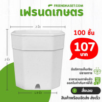ราคา กระถาง 8 เหลี่ยม ขนาด 2 นิ้ว สีดำ สีขาว สีเทา สีอิฐ สีใส (21400116502)