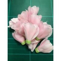 ราคา ดอกข่าบาน ดอกข่ากระดิ่ง (21036424859)