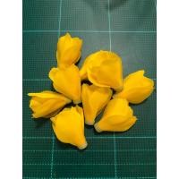 ราคา ดอกข่าบาน ดอกข่ากระดิ่ง (21036424861)