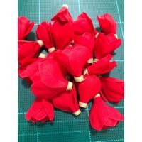 ราคา ดอกข่าบาน ดอกข่ากระดิ่ง (21036424857)