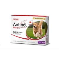 ราคา Antinol DOG 60 แคปซูล หมดอายุ08 2025 แพ็คเกจใหม่ อาหารเสริมบำรุงข้อ ข้ออักเสบ 1 กล่องบรรจุ 60 เม็ด (21256237422)