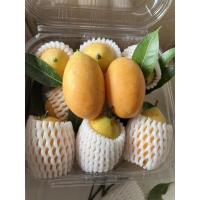 ราคา สด สด มะยงชิด มะปรางหวาน หวานอมเปรี้ยว มะยงชิดพันธุ์ทูลเกล้า ผลใหญ่ ห่อโฟมทุกลูก จาก ฟาร์ม ทุกวัน (21644945312)